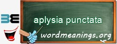 WordMeaning blackboard for aplysia punctata